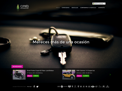 www.automovilescipres.com snapshot