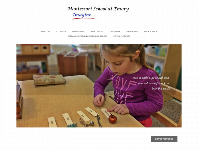 www.montessorischoolofdecatur.com snapshot