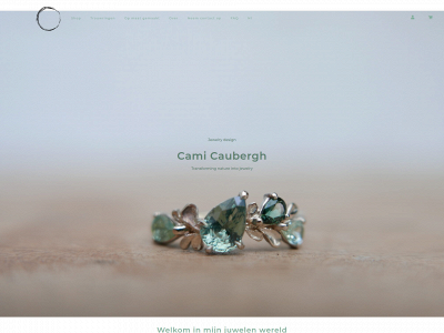 camicaubergh.be snapshot