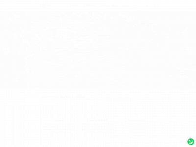 idgfiber.com snapshot