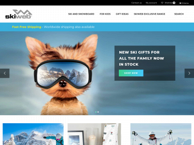 skiweb-usa.com snapshot