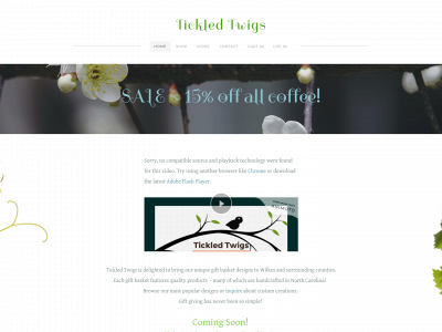 tickledtwigs.com snapshot