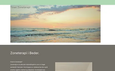 tinaszoneterapi.com snapshot