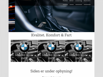 expressautoscout.dk snapshot
