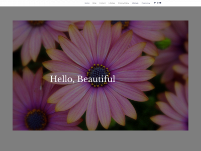 leggingsandlegos.com snapshot