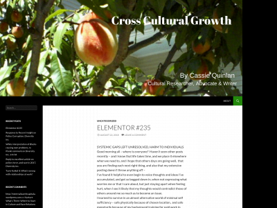 crossculturalsystems.com snapshot