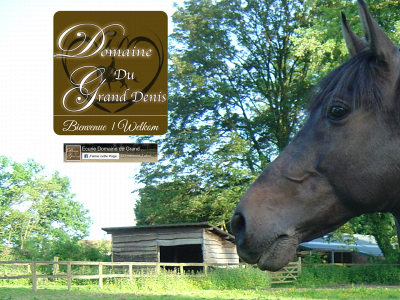 domainegranddenis.be snapshot
