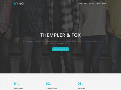 themplerandfox.com snapshot