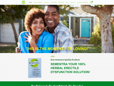 sementra.com snapshot
