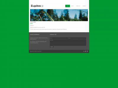 rapidus.lt snapshot
