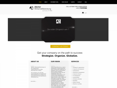 alector-wirtschaftsberatung.com snapshot