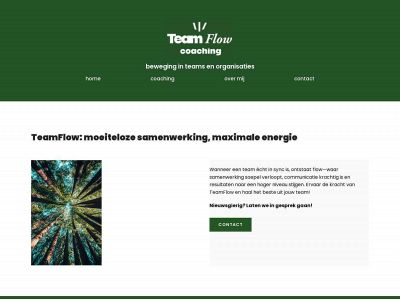 teamflowcoaching.nl snapshot