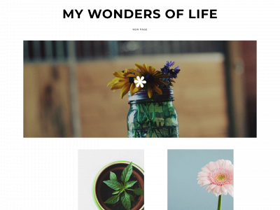 thewondrsoflife.weebly.com snapshot