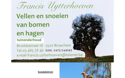 boomklever.one snapshot