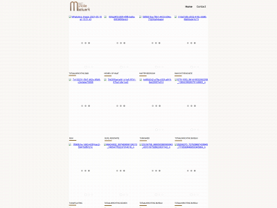 mynckemaatwerk.be snapshot