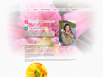 annakarinschodin.se snapshot