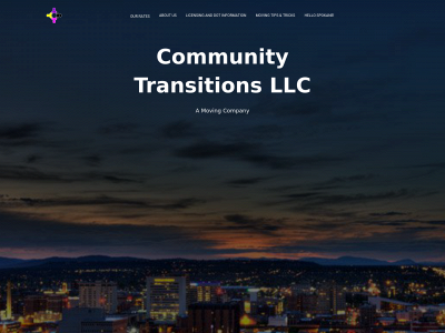 communitytransitionsllc.com snapshot