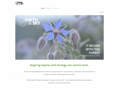 earthandskyholdings.com snapshot