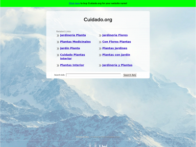 cuidado.org snapshot