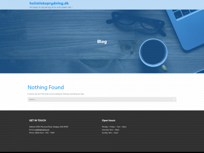 holistiskoprydning.dk snapshot