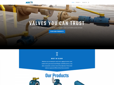 acecovalves.com snapshot