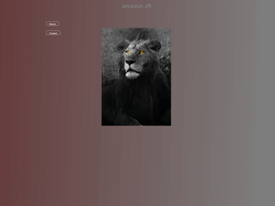 socasus.dk snapshot