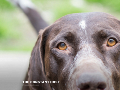 theconstanthost.com snapshot