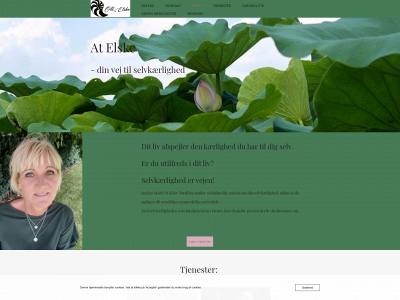 atelske.dk snapshot