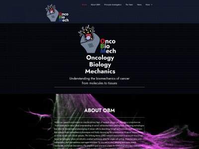 oncobiomech.se snapshot
