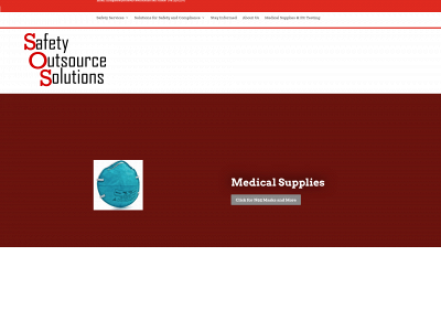 safetyoutsourcesolutions.com snapshot