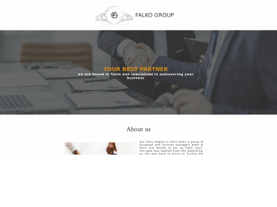 falko.group snapshot