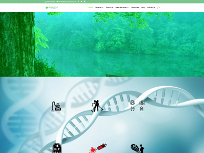 absolutelyclean.net snapshot