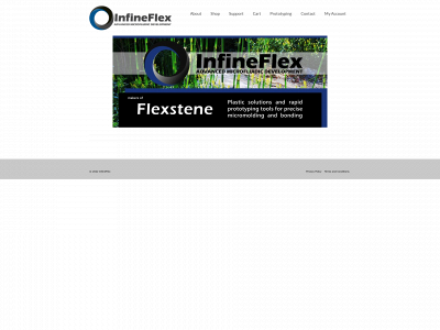 flexstene.com snapshot