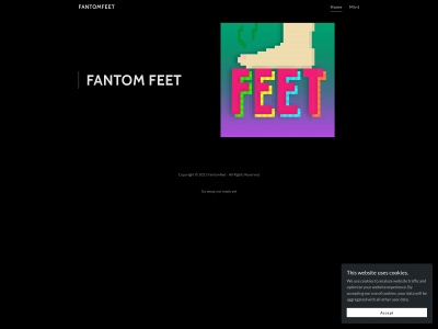 fantomfeet.com snapshot