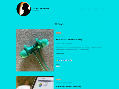 effsays.com snapshot