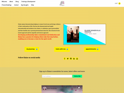 www.elainesomervillemedium.com snapshot