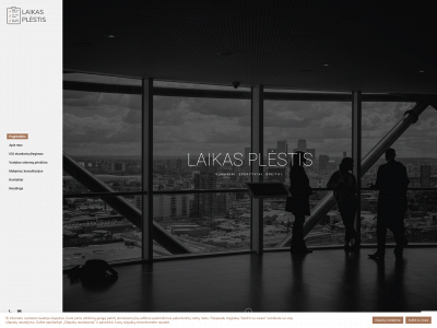 efektyvivadyba.lt snapshot