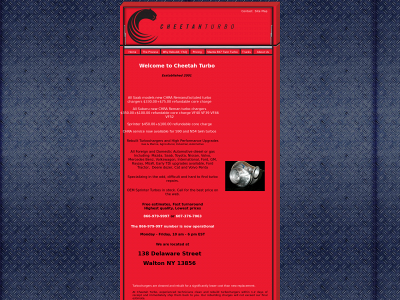 cheetahturbo.com snapshot