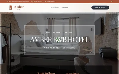 amberbb.it snapshot