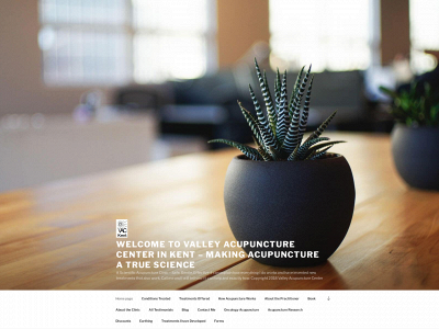 vackent.com snapshot