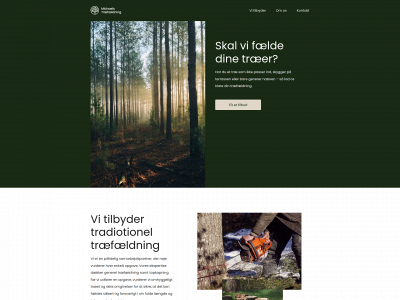 michaelstraefaeldning.dk snapshot