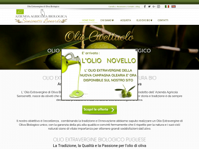 olio-extravergine-biologico.it snapshot