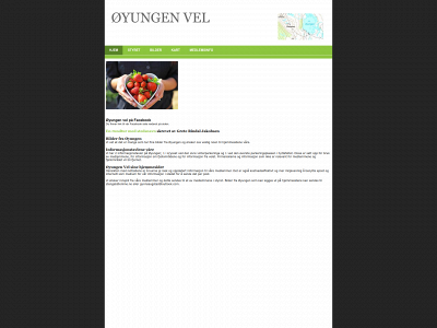 oyungen.no snapshot