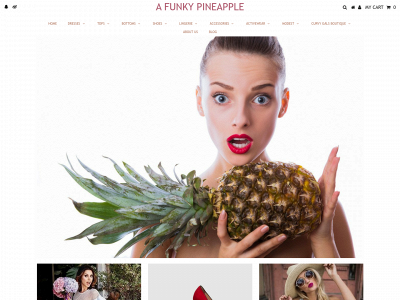 afunkypineapple.com snapshot