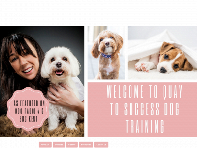 quaytosuccessdogtraining.co.uk snapshot