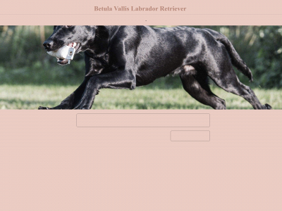 betulavallis.com snapshot