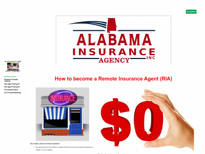 www.remoteinsuranceagent.com snapshot