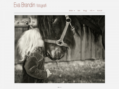 evabrandin.se snapshot