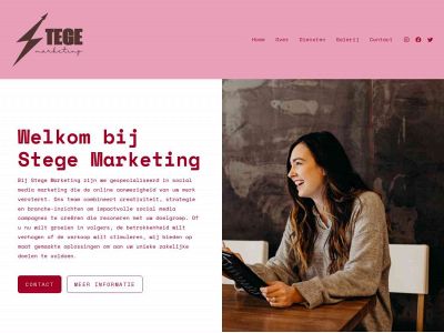 stegemarketing.nl snapshot