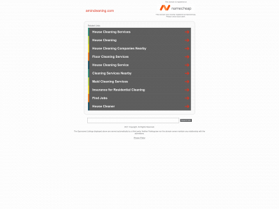 amincleaning.com snapshot